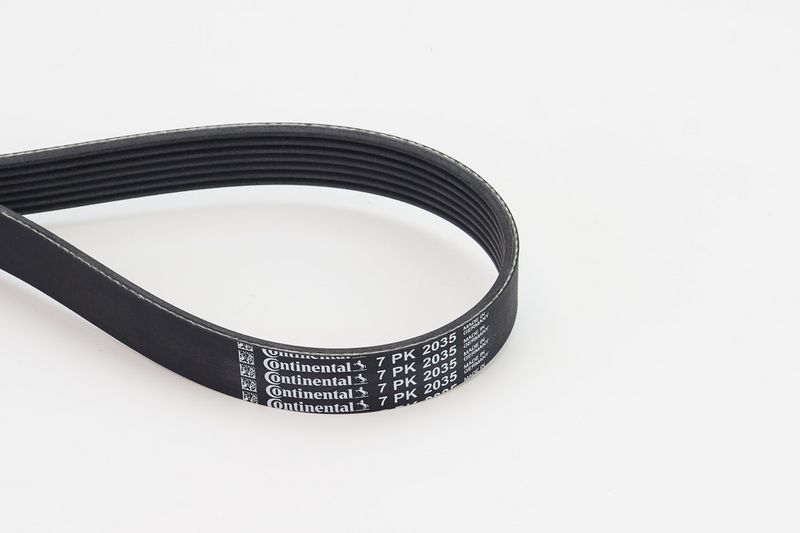 ベース Conti 356_7PK2035.jpg